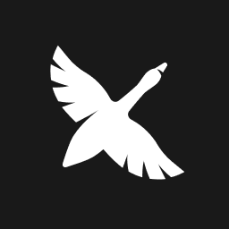VS Code Goose